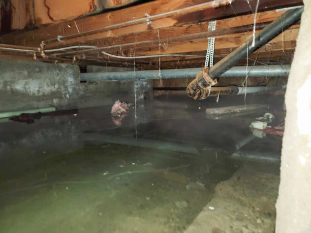 Best Flood damage cleanup  in Centerburg, OH