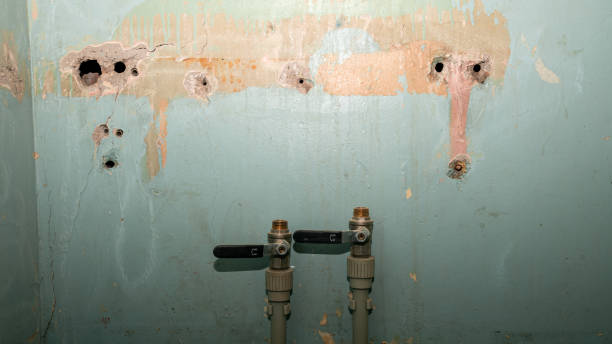 Best Flood damage cleanup  in Centerburg, OH